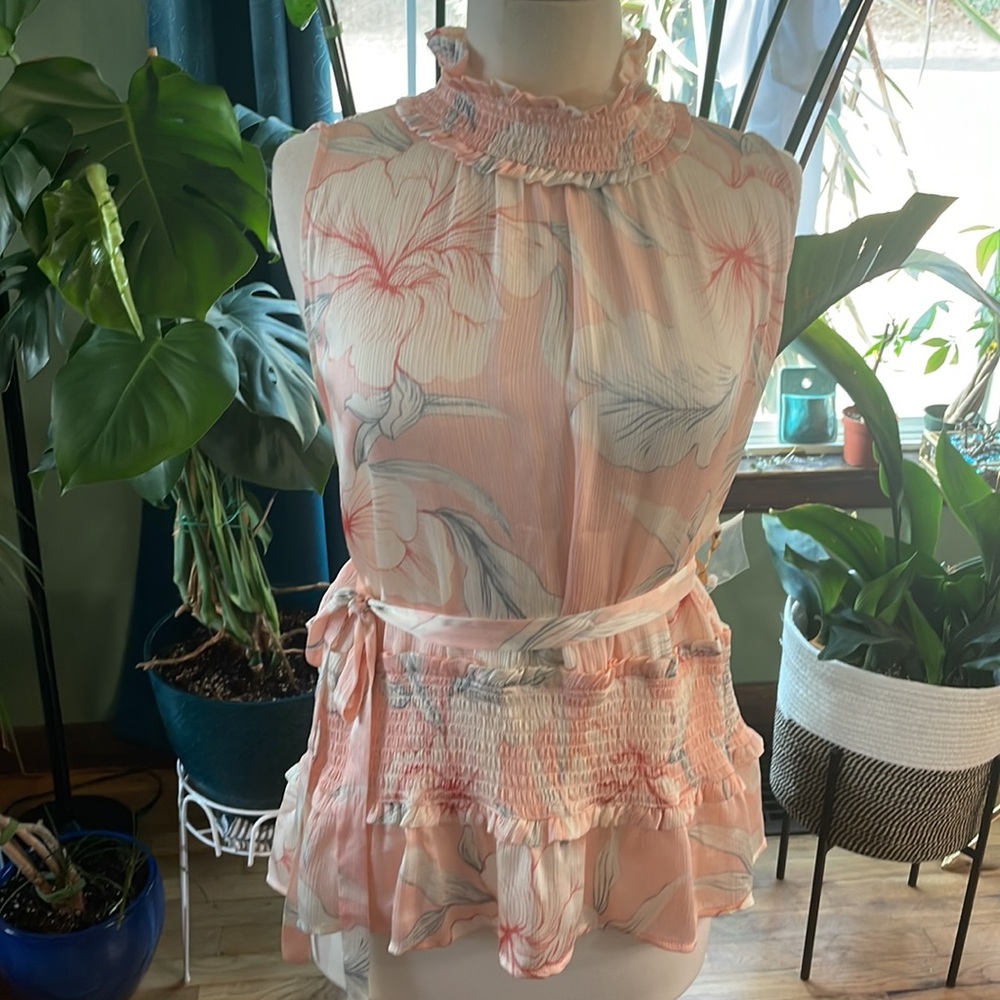 RyeGrass 3XL pink sheer peplum blouse with soft floral print and synch waist - Picture 2 of 13